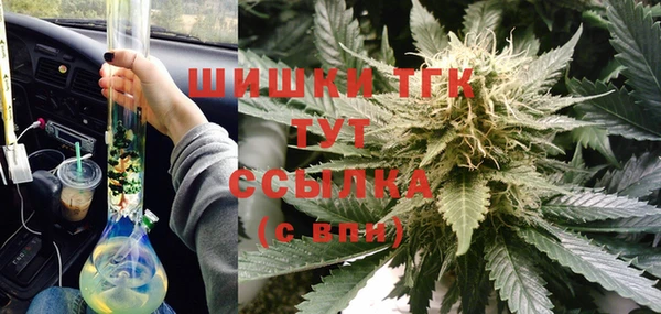 тгк Белокуриха
