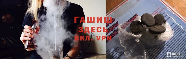 сатива Беломорск