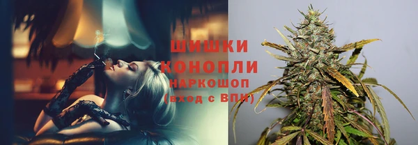 сатива Беломорск