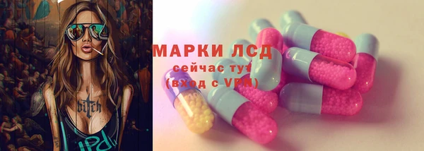сатива Беломорск