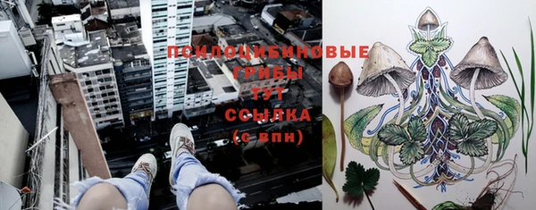 тгк Белокуриха