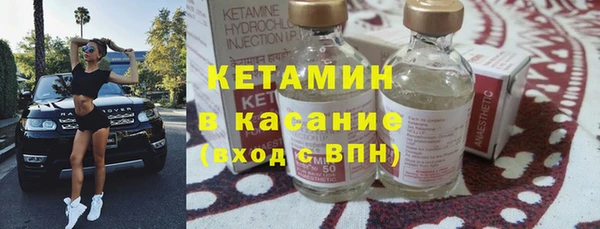 сатива Беломорск