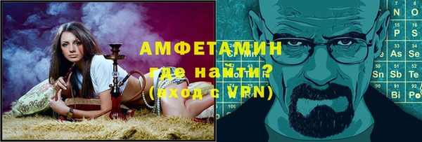 сатива Беломорск
